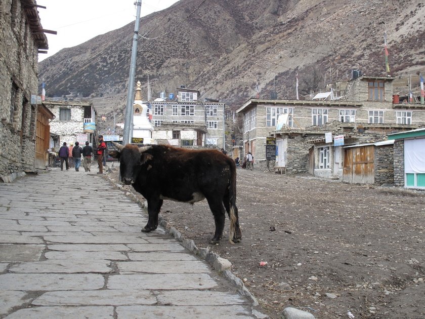 inmanang3540m.jpg