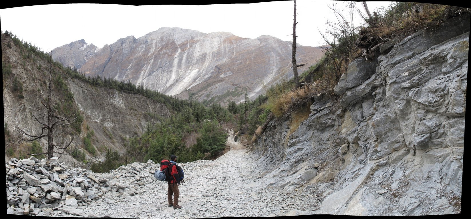 panoramabildblickaufdenswargadwari.jpg