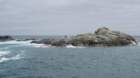 andertasmansea2_small.jpg