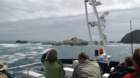 andertasmansea_small.jpg