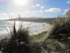 blickzurckaufdenstrand_small.jpg